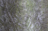 Old Glossop fibreglass roof work